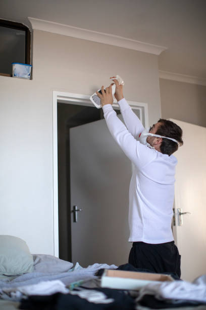 Best Mold Prevention Services  in Finderne, NJ