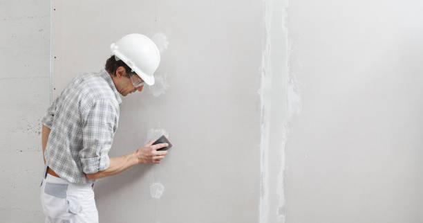 Best Mold Odor Removal Services  in Finderne, NJ