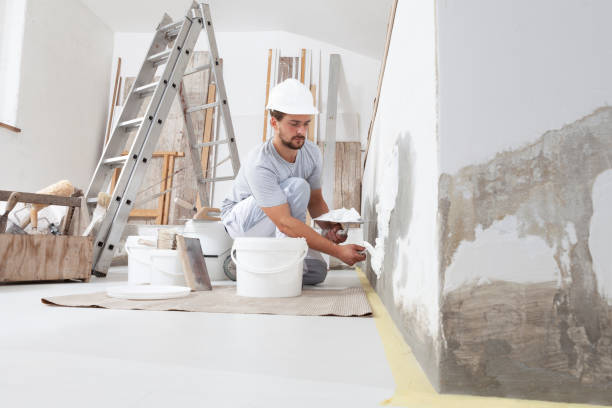 Best Mold Documentation for Insurance Claims  in Finderne, NJ