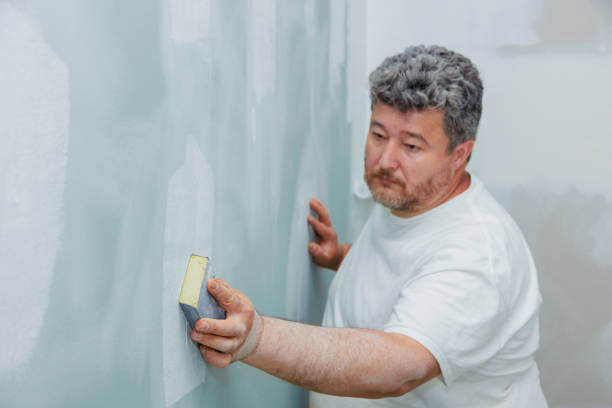 Best Basement Mold Removal  in Finderne, NJ