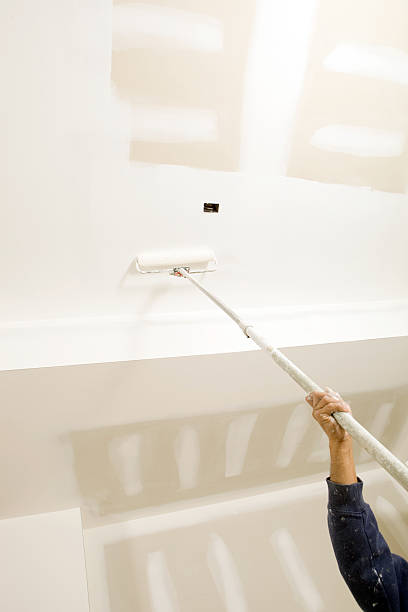Best Air Quality Testing for Mold Spores  in Finderne, NJ