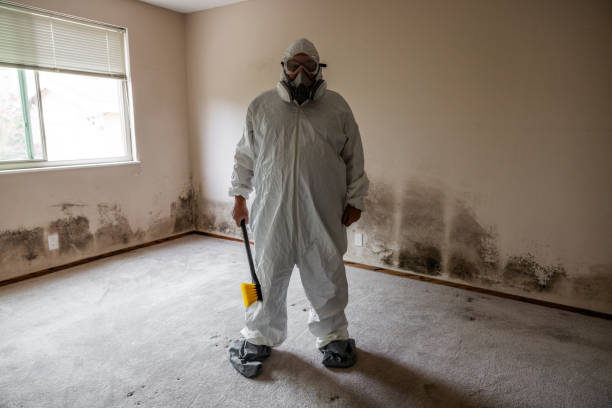 Best Biohazard Mold Removal  in Finderne, NJ