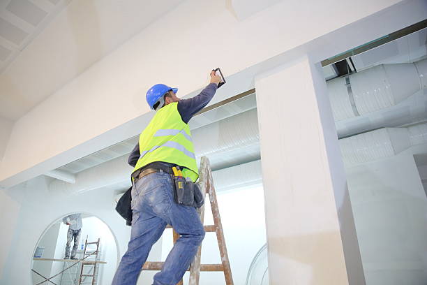 Best Forensic Mold Investigation  in Finderne, NJ