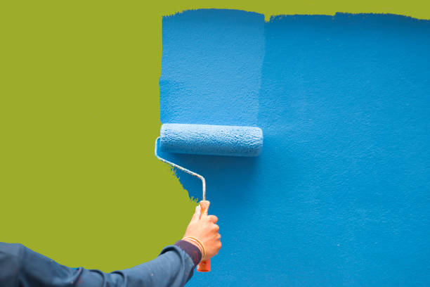 Finderne, NJ Mold Removal Company